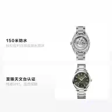 OMEGA Seamaster 41mm Green Dial