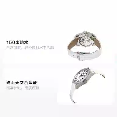 OMEGA Seamaster 231.13.39.21.54.001