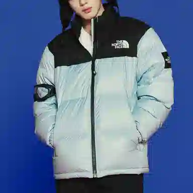 The North Face Novelty Nuptse Jacket