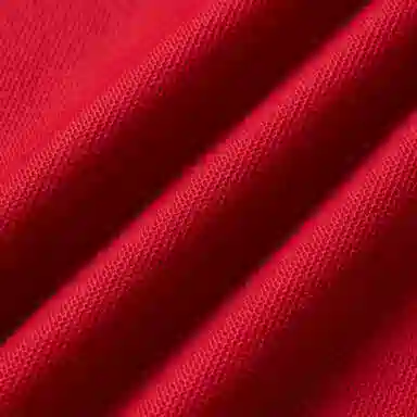Burberry Polo