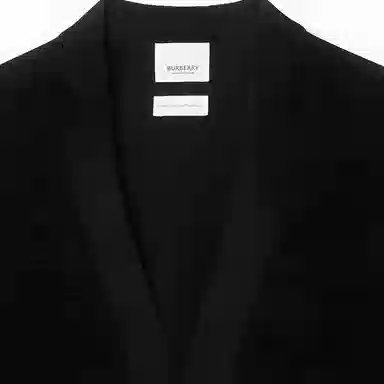 Burberry FW23 V