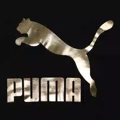 Puma Classics Black Hoodie