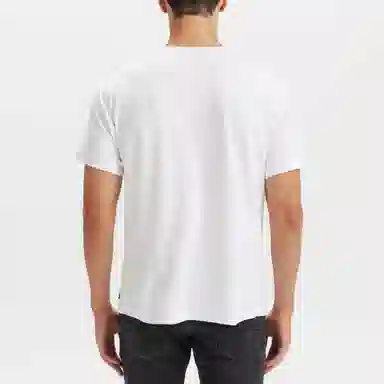 levis T