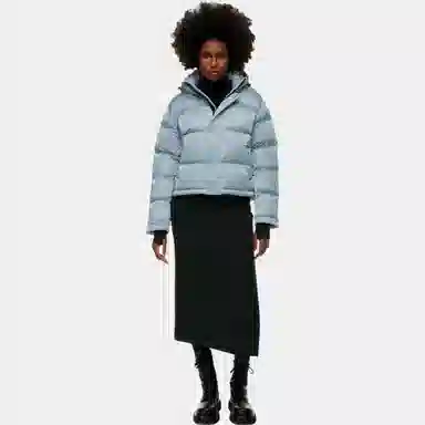 ARITZIA Super Puff Liquid Shine Shorty