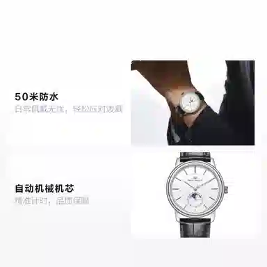 Sea-Gull 819.12.1080