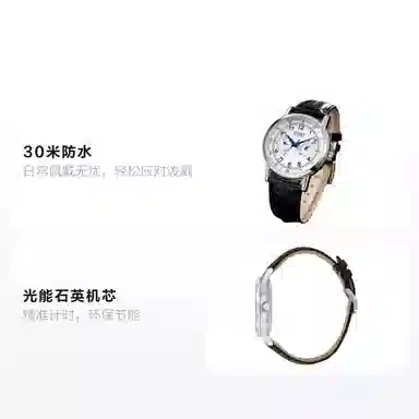 Citizen Eco-Drive Men's Watch