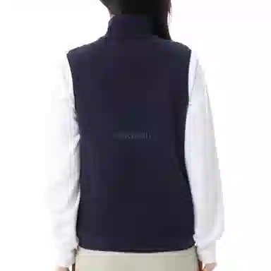 Patagonia Retro Pile Vest