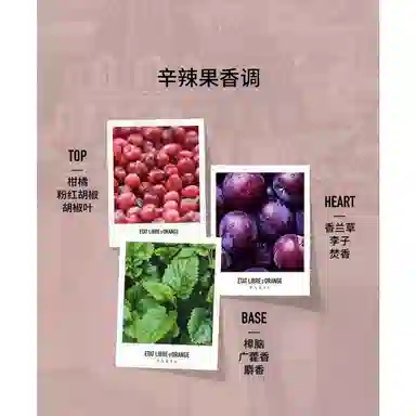 69 EDP 30ml50ml100ml