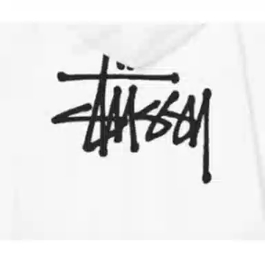 Stussy SS22 Basic Stussy Zip Hood Logo
