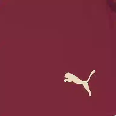 PUMA Manchester City 2024-25 logo