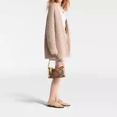 LOUIS VUITTON Trunk Side Flight mode