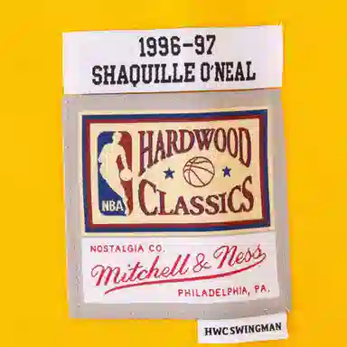 Mitchell Ness NBA 75 SW 96-97 34
