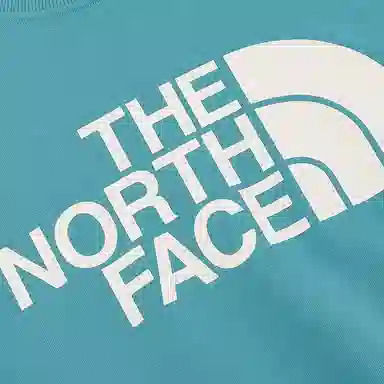 THE NORTH FACE AW24