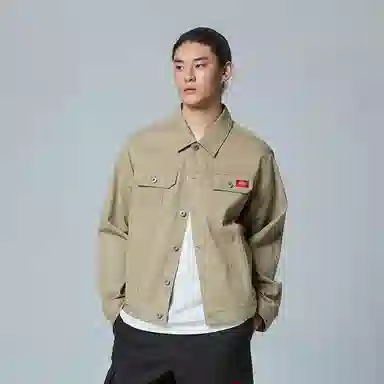 Dickies DK0A889P