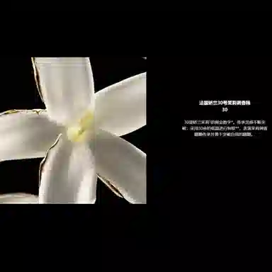 Jasmine Grandiflorum Extrait 30 parfum 50ml