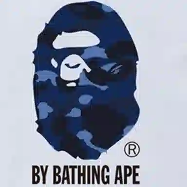 A BATHING APE BAPE Color Camo Tee