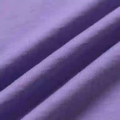 Polo Ralph Lauren LogoV T