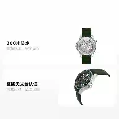 Omega Seamaster 210.32.42.20.10.001