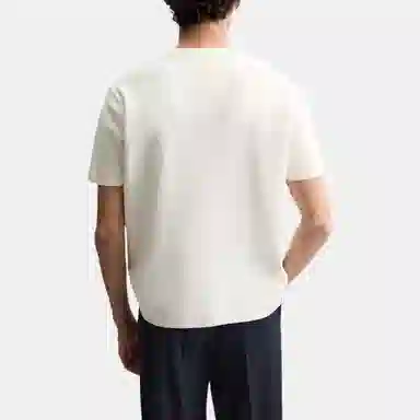 ZARA T