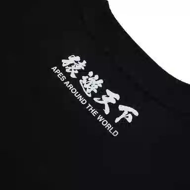 A BATHING APE FW23 T-Shirt