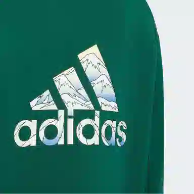 adidas CITY ESCAPE FW24 GRAPHIC CREW SWEATER