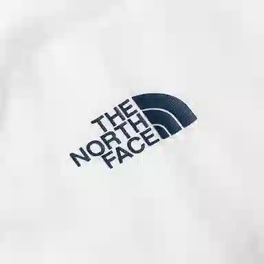 THE NORTH FACE SS23 T