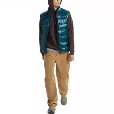 Arcteryx Emblem Hoodie