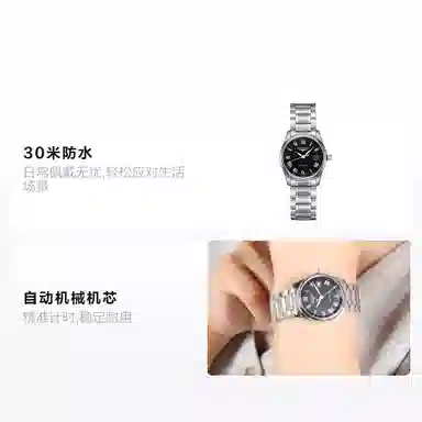 Longines Master Collection L2.257.4.51.6