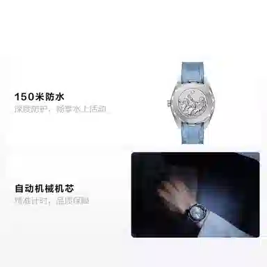 OMEGA Seamaster 220.12.41.21.03.008