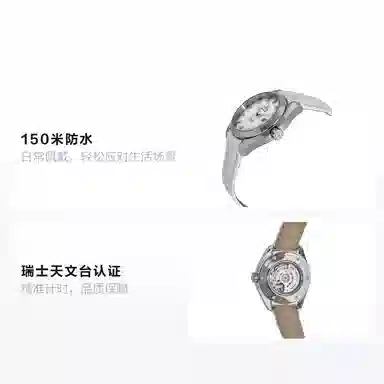 OMEGA 34mm 231.13.34.20.55.001