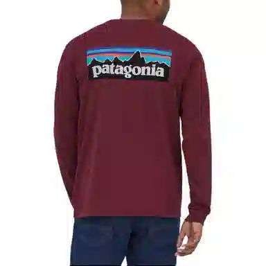Patagonia P-6 Responsibili Tee