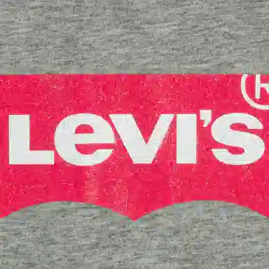 Levis SS23 T