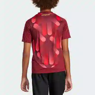 adidasT AEROREADYGermany 25 AWAY JERSEY logo