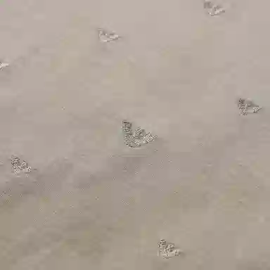 EMPORIO ARMANI SS25 T