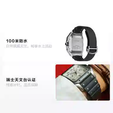 Cartier Santos WSSA0017