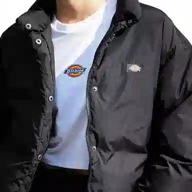 Dickies DK0A87CABLK