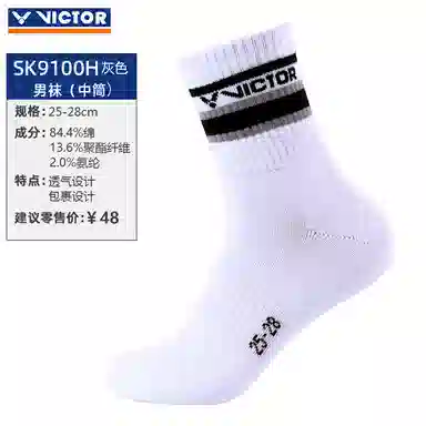 VICTOR logo 1