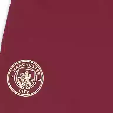 PUMA Manchester City 2024-25 logo