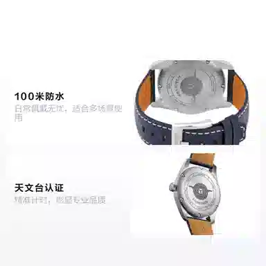 Longines L3.810.4.93.0