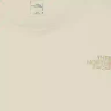 THE NORTH FACE Cotton Logo Ss Rtee LogoT