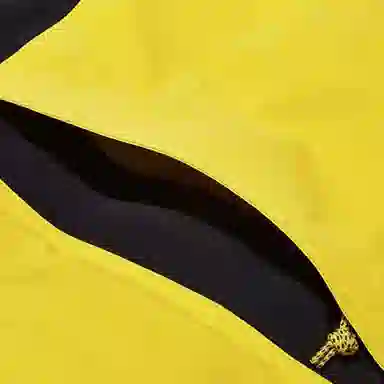 Nike ACG Gore-Tex Hooded Jacket