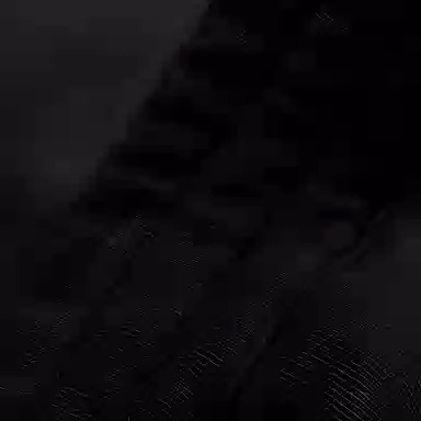 Alexander McQueen SS22