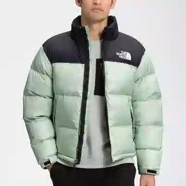 The North Face Novelty Nuptse Down Jacket