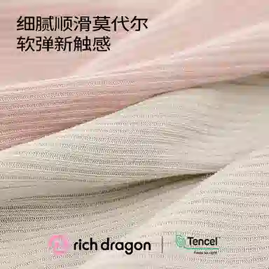 Rich Dragon 100A