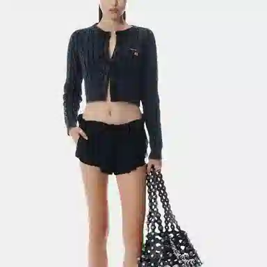 alexander wang SS25 Logo