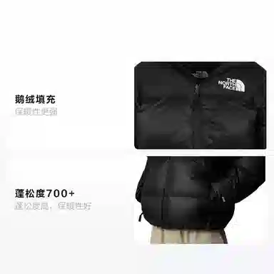 The North Face 1996 Series