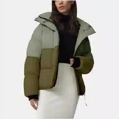 Canada Goose Junction