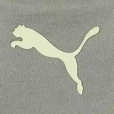 PUMA ESS WARDROBE HC SS T