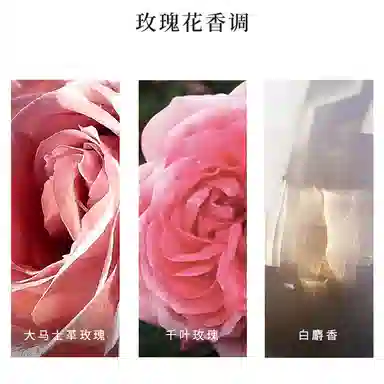 Ralph Lauren EDP 100ml