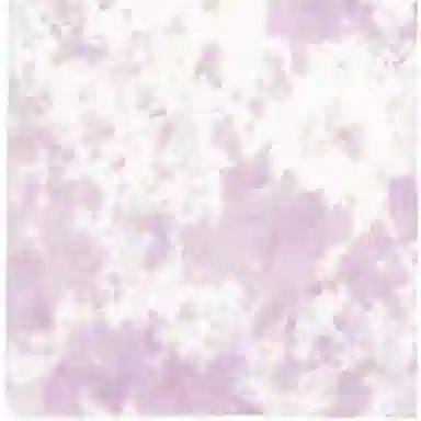 Gallery Dept. Purple Crewneck T-Shirt